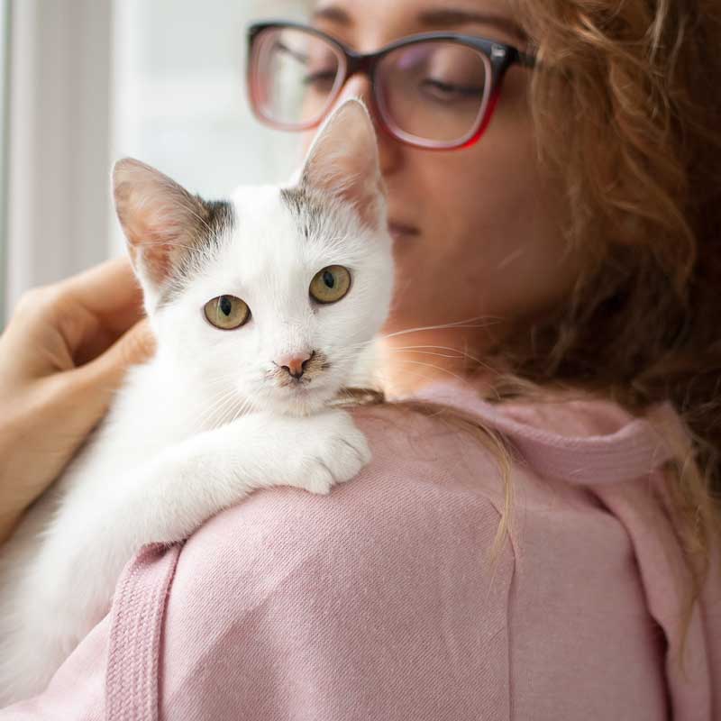 Mobile Veterinarian in Aragon, GA