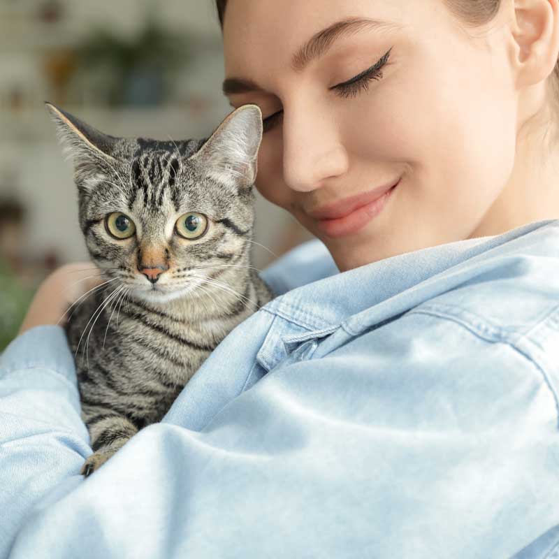 Pet Wellness Care In Aragon, GA Pet Wellness Care In Aragon, GA