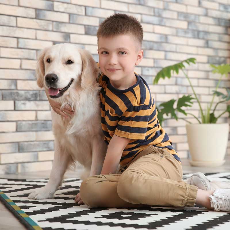 Pet Preventative Care In Aragon, GA Pet Preventative Care In Aragon, GA