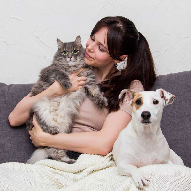 Pet Preventative Care In Aragon, GA