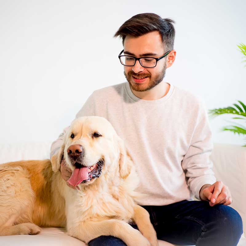 Pet Preventative Care In Aragon, GA Pet Preventative Care In Aragon, GA