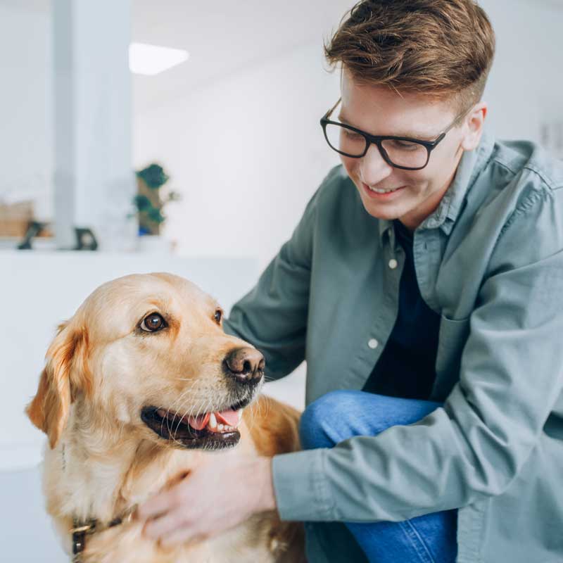 Mobile Veterinarian in Aragon, GA Mobile Veterinarian in Aragon, GA